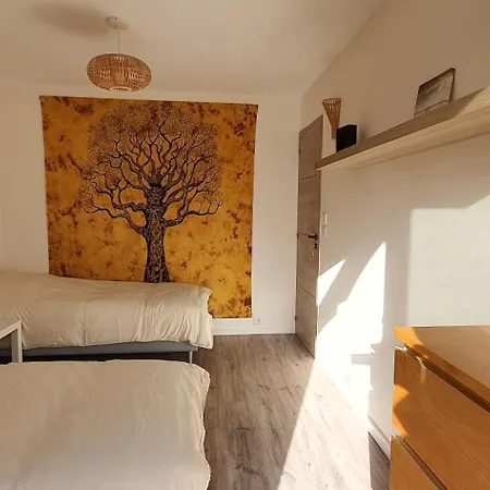 3 Pieces Strasbourg - Apartment